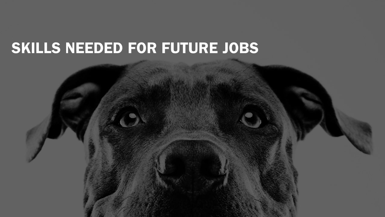 Skills Needed For Future Jobs-min