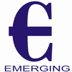 Emerging Consultancy Services