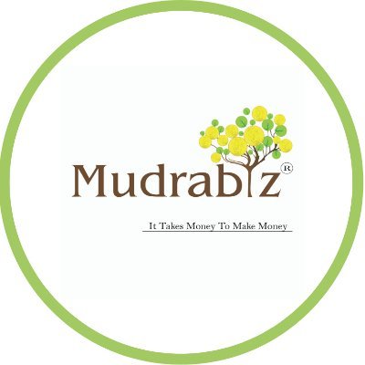 Mudrabiz finance company